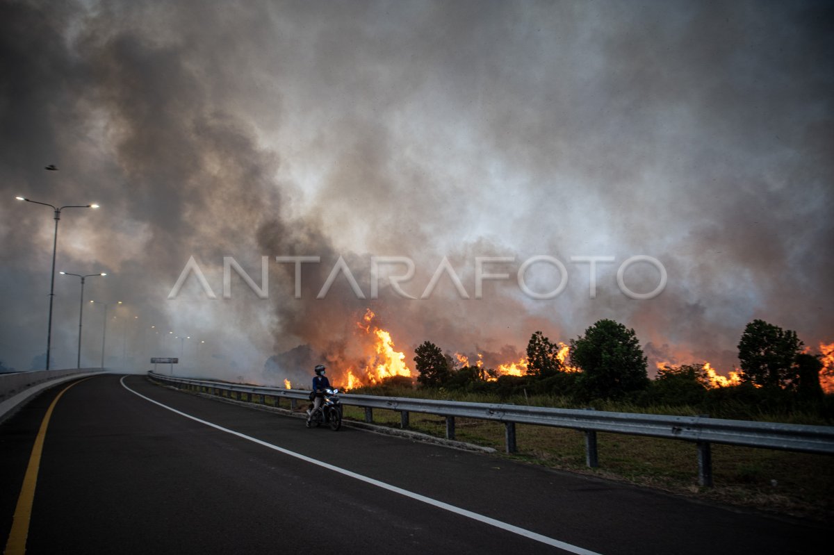 Kebakaran lahan di samping jalan tol Palembang-Indralaya