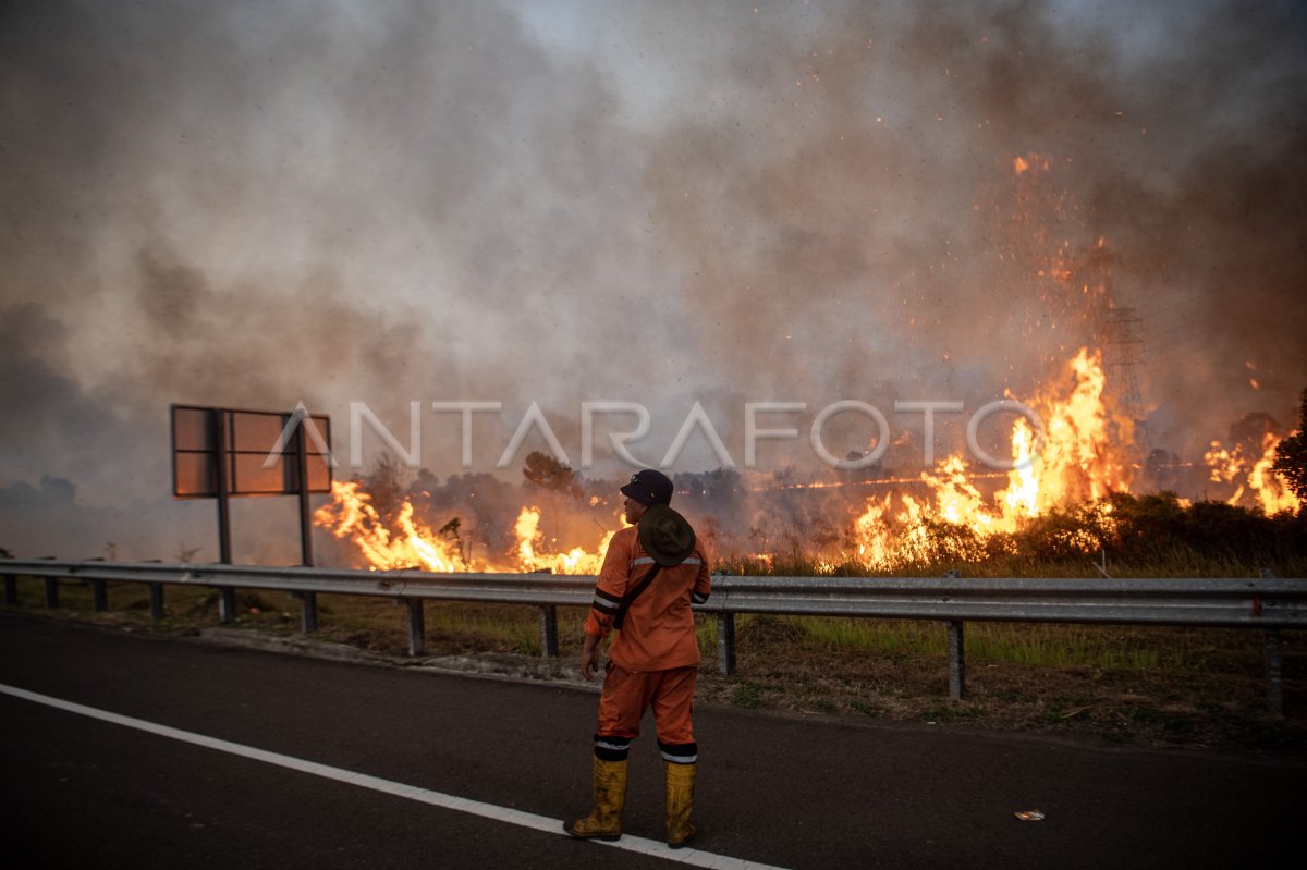Kebakaran lahan di samping jalan tol Palembang-Indralaya