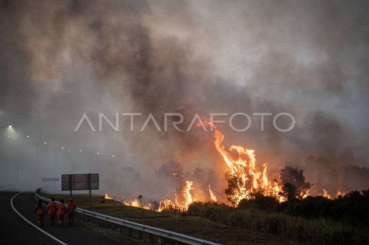 Kebakaran lahan di samping jalan tol Palembang-Indralaya