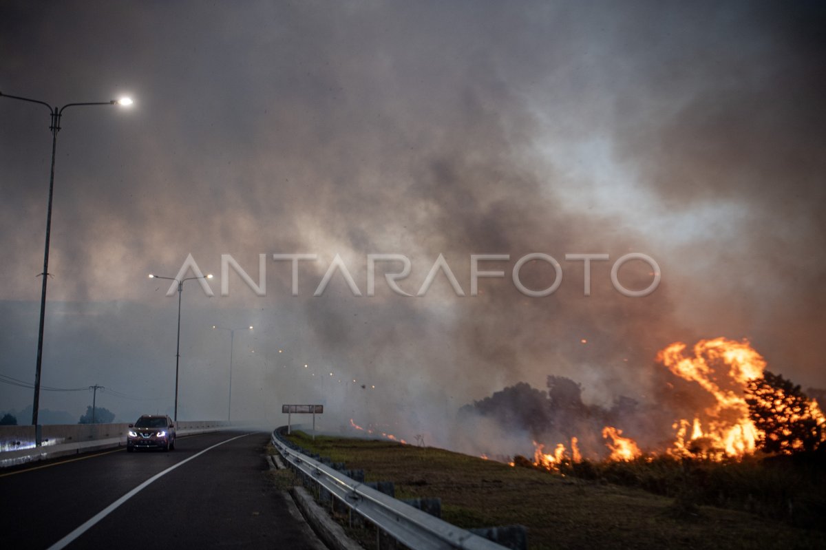 Kebakaran lahan di samping jalan tol Palembang-Indralaya
