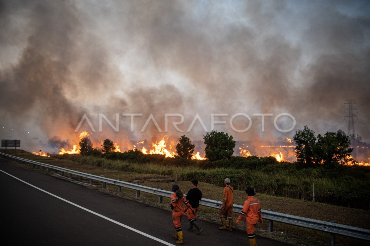 Kebakaran lahan di samping jalan tol Palembang-Indralaya