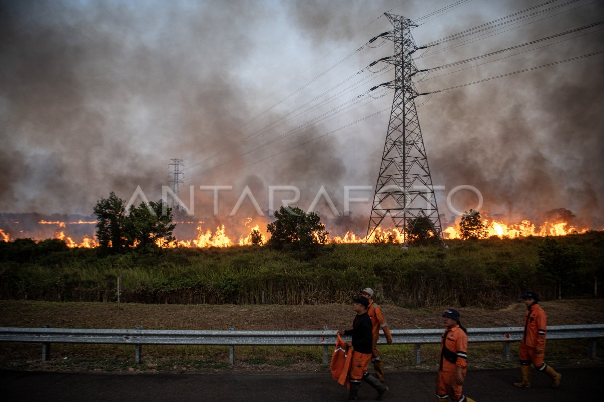 Kebakaran lahan di samping jalan tol Palembang-Indralaya