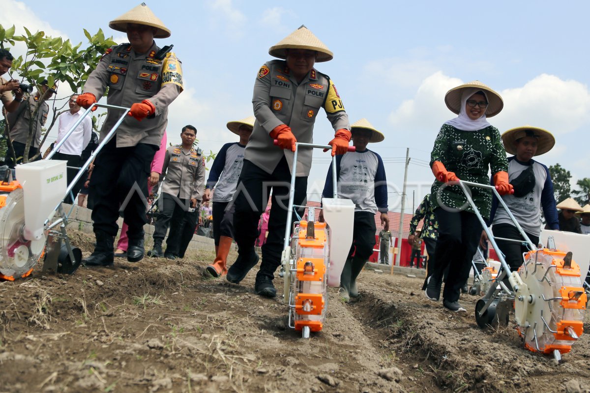 Kebun Ketahanan Pangan Polres Blitar | ANTARA Foto