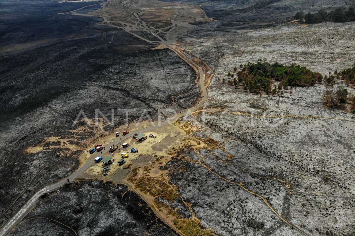 Kebakaran Hutan Dan Lahan Gunung Bromo Padam | ANTARA Foto