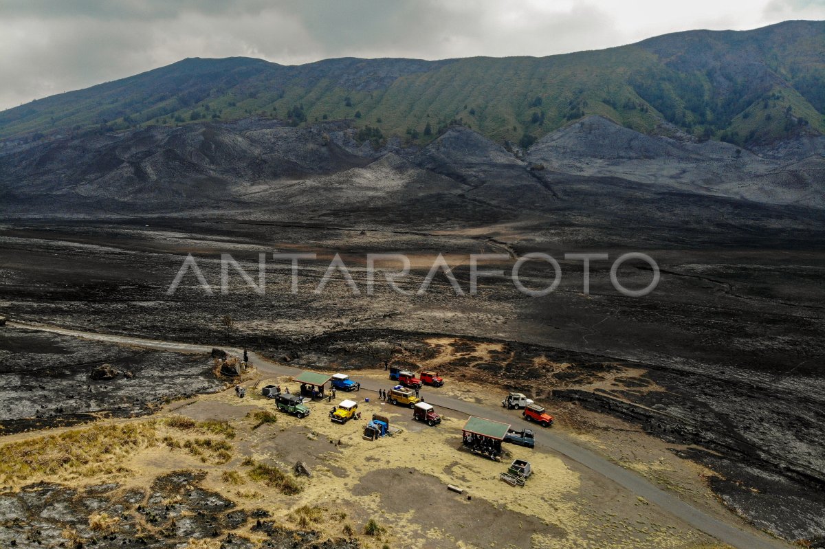 Kebakaran hutan dan lahan Gunung Bromo padam