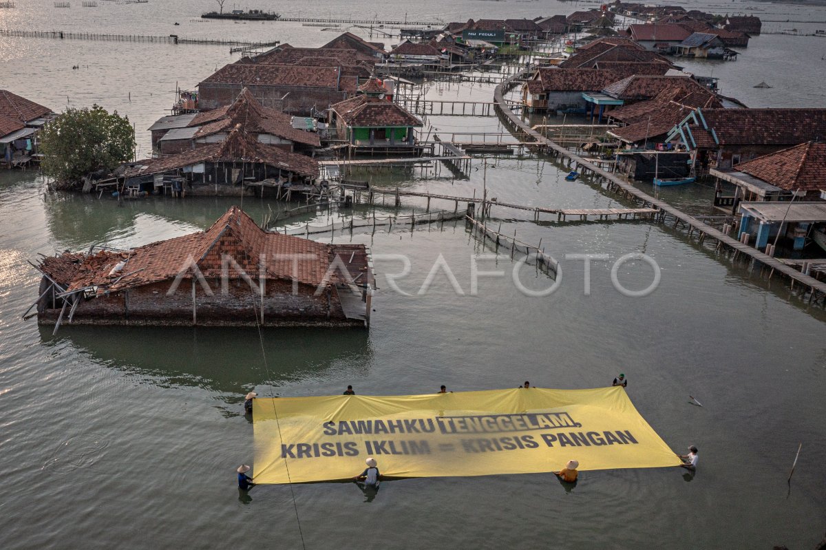 Aksi Global Climate Strike di pesisir Demak