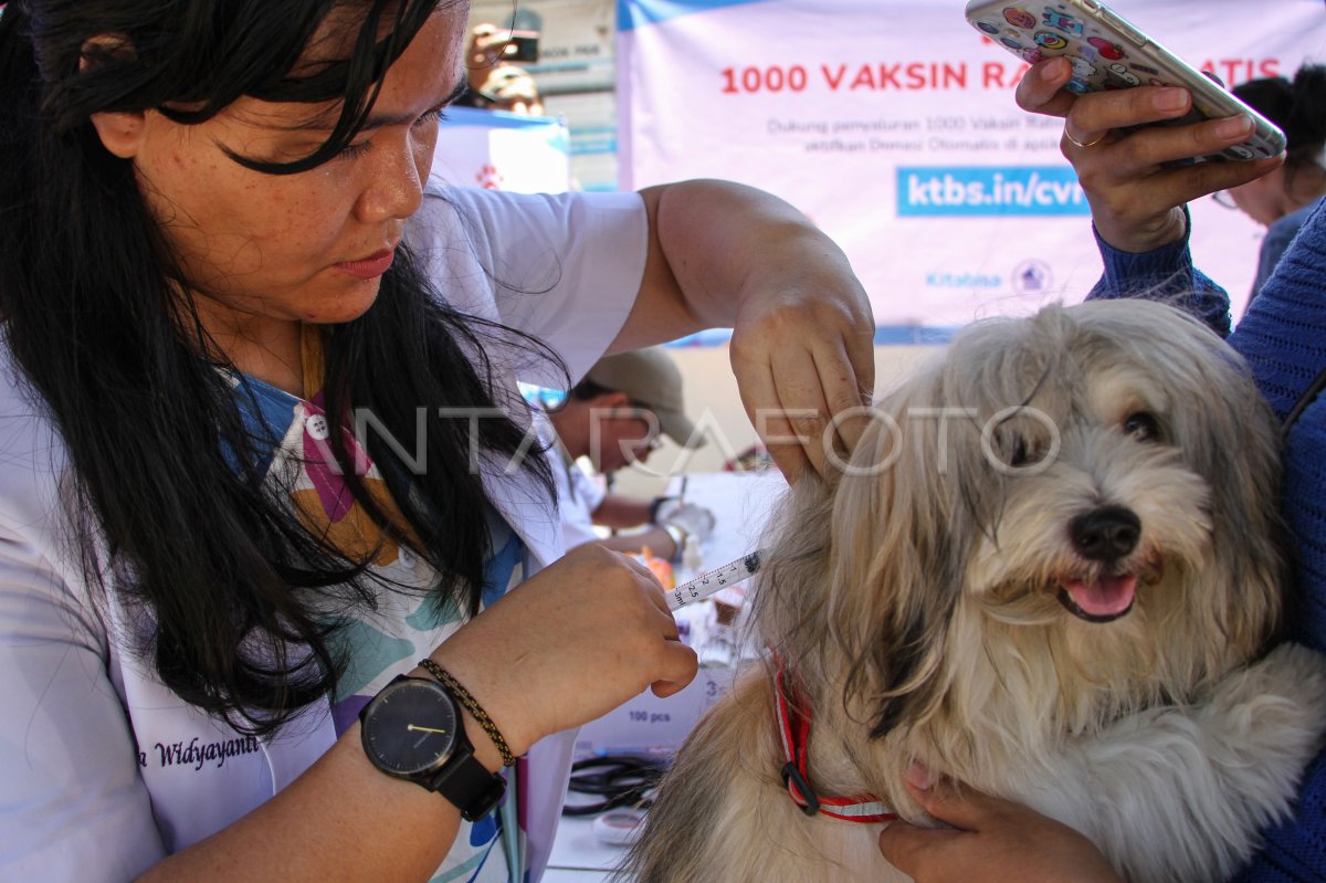 Vaksinasi rabies gratis di Makassar