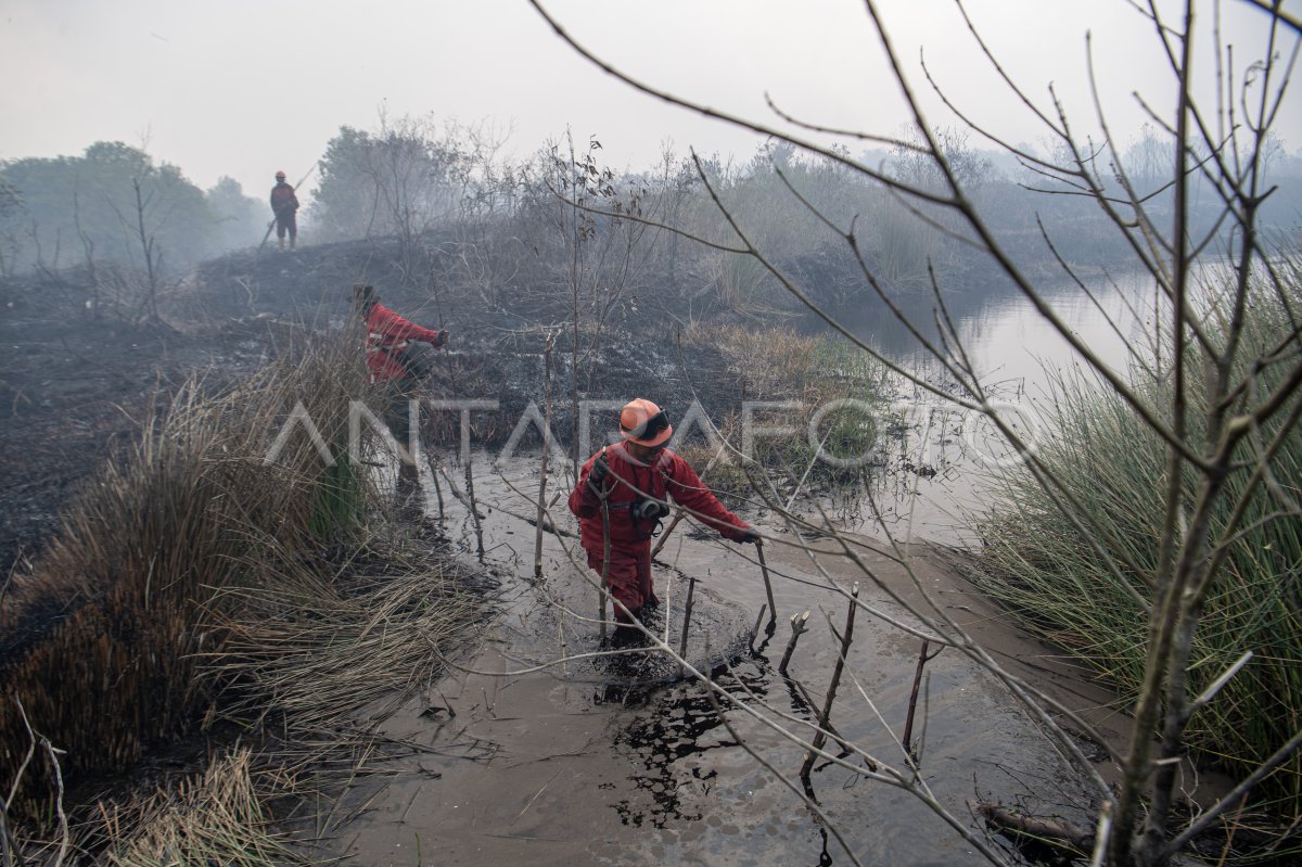 Pemadaman kebakaran lahan gambut di Desa Jungkal