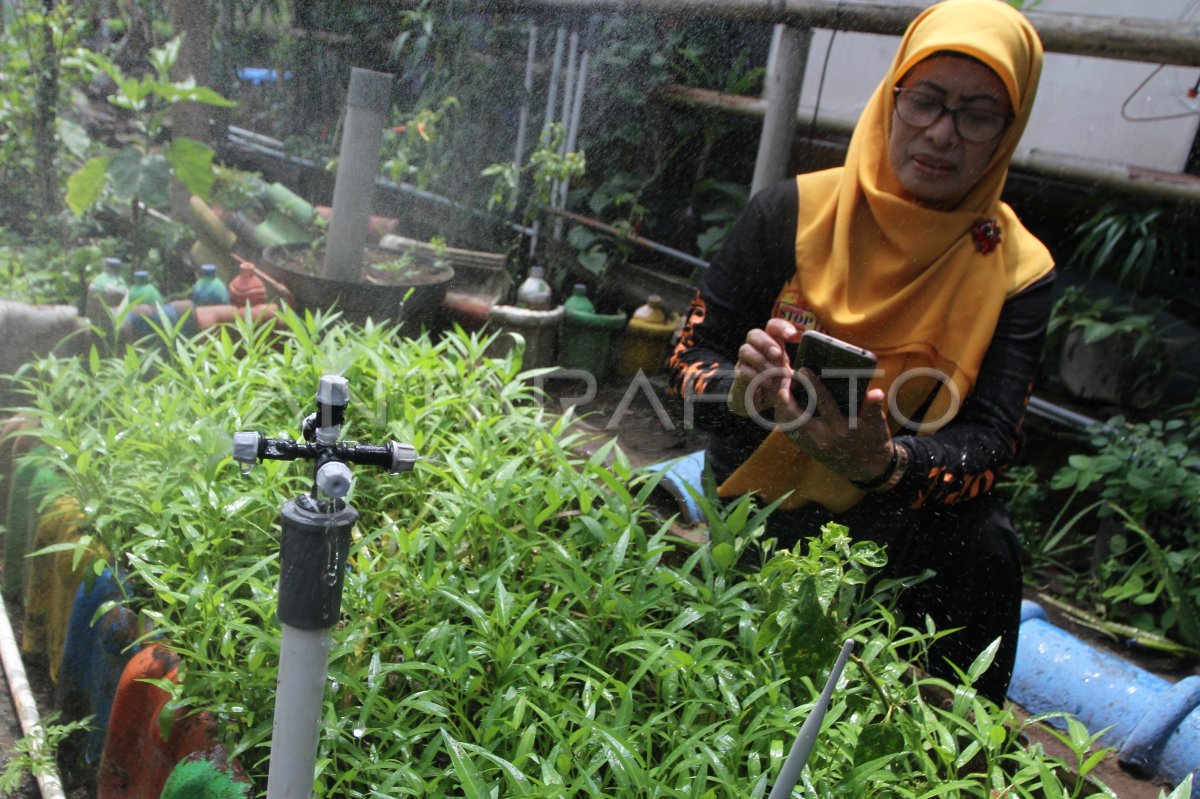 Pemanfaatan teknologi IOT pada pertanian perkotaan di Malang
