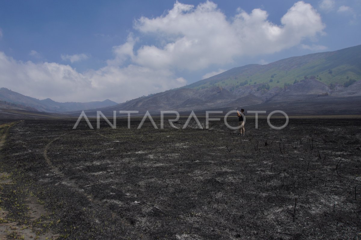 Wisata Gunung Bromo dibuka kembali