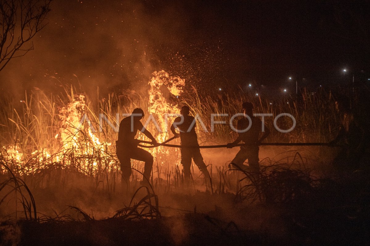 Pemadaman kebakaran lahan di Pemulutan