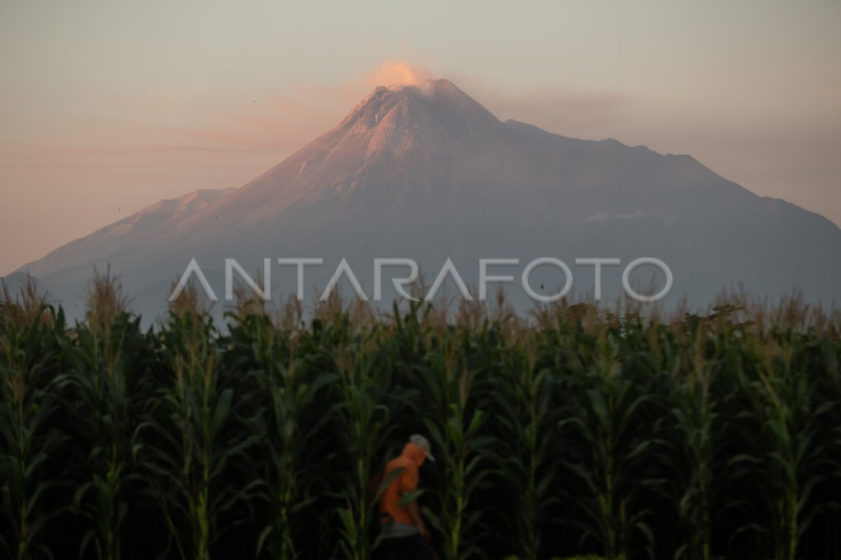 Kubah lava Gunung Merapi