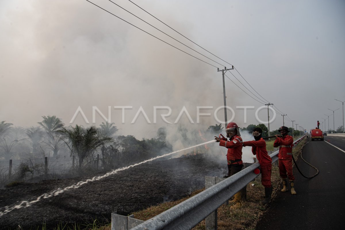 Pemadaman kebakaran lahan di Palem Raya