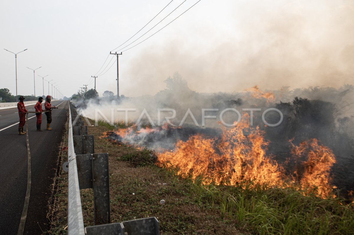 Pemadaman kebakaran lahan di Palem Raya