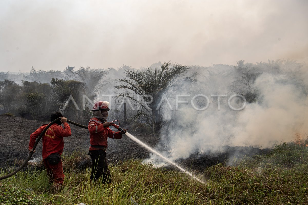 Pemadaman kebakaran lahan di Palem Raya