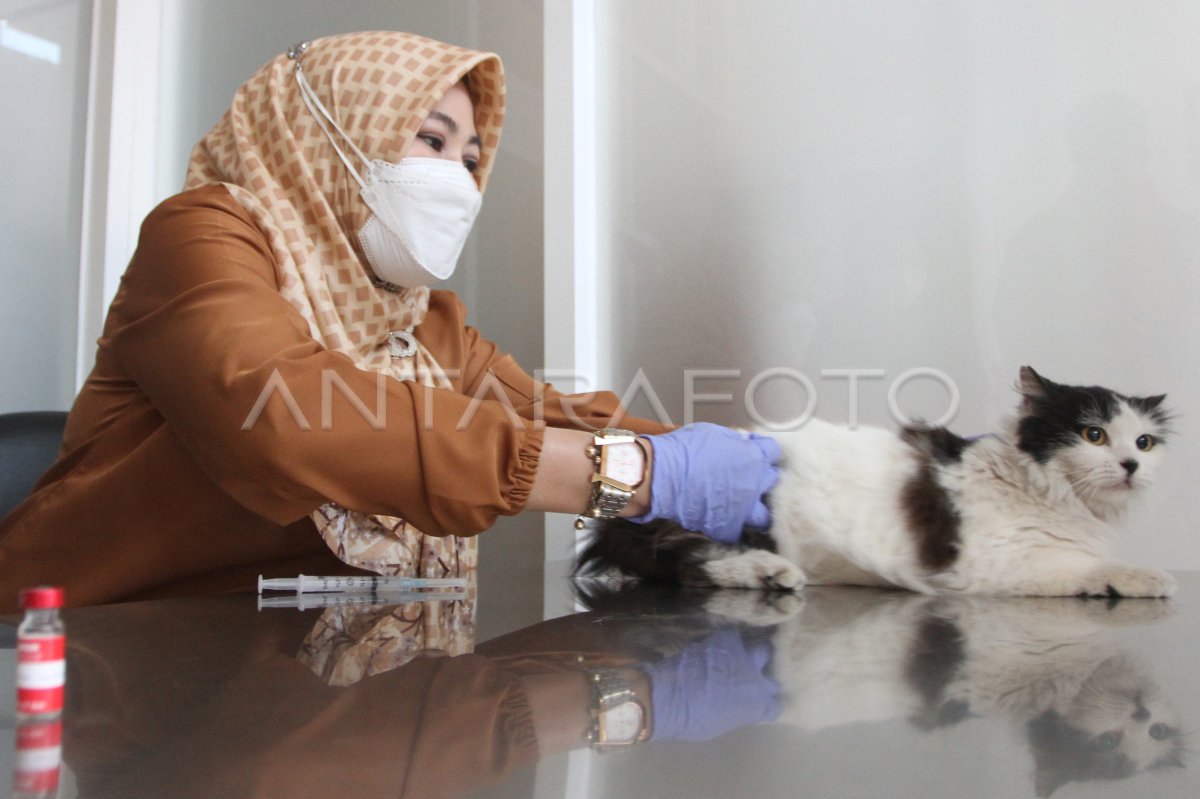 Peringatan Hari Rabies di Malang