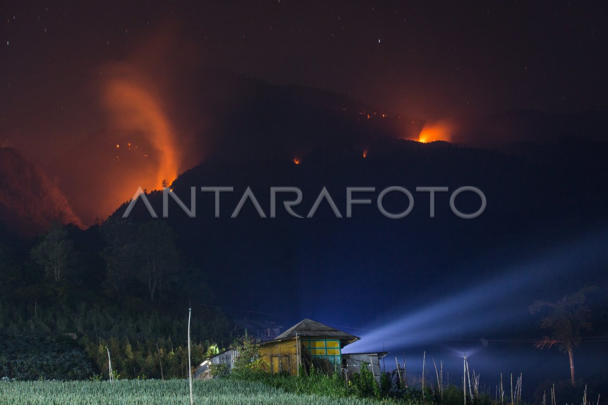 Tanggap Darurat Kebakaran Gunung Lawu Di Karanganyar | ANTARA Foto