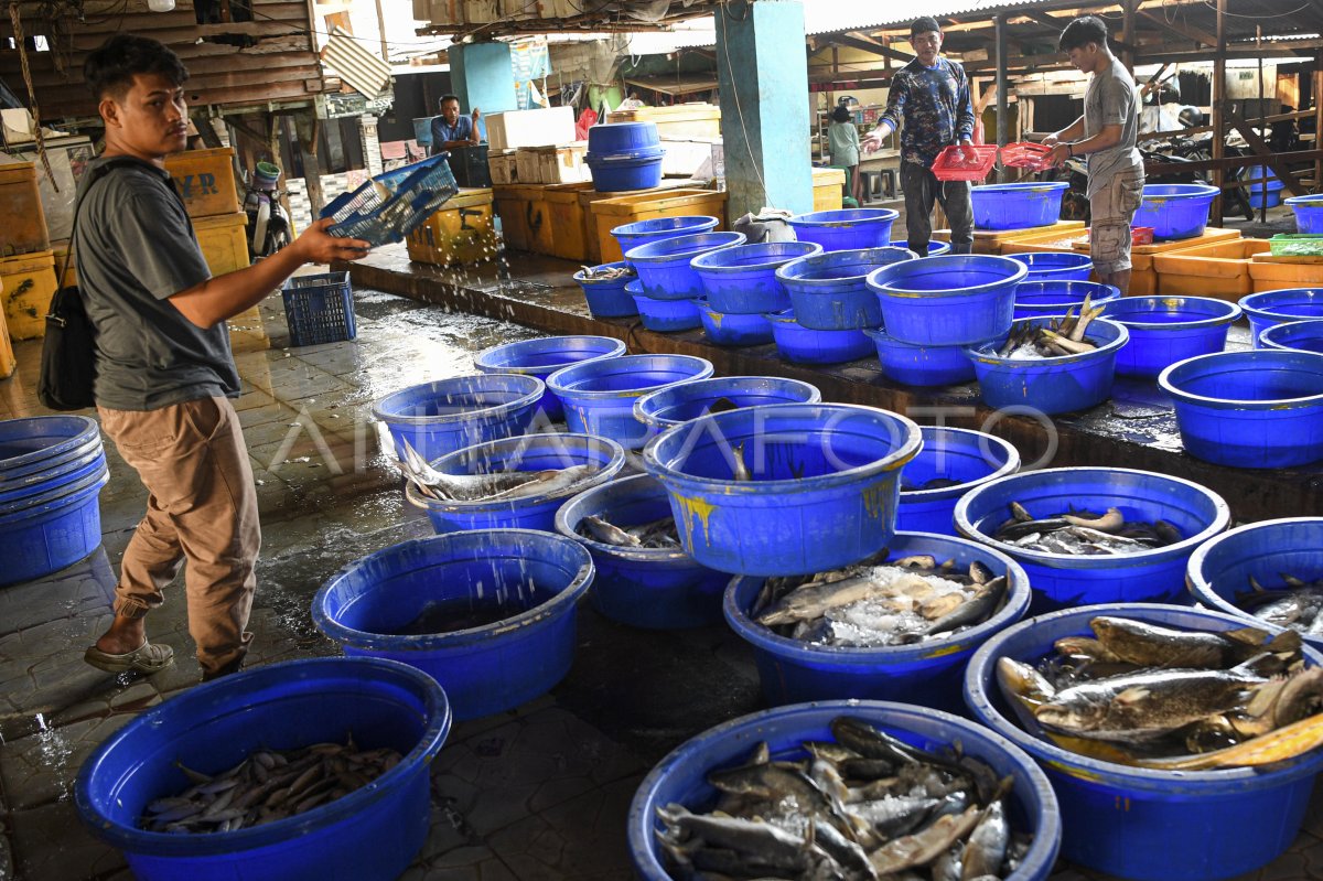 Kebijakan Penangkapan Ikan Terukur Antara Foto 0710