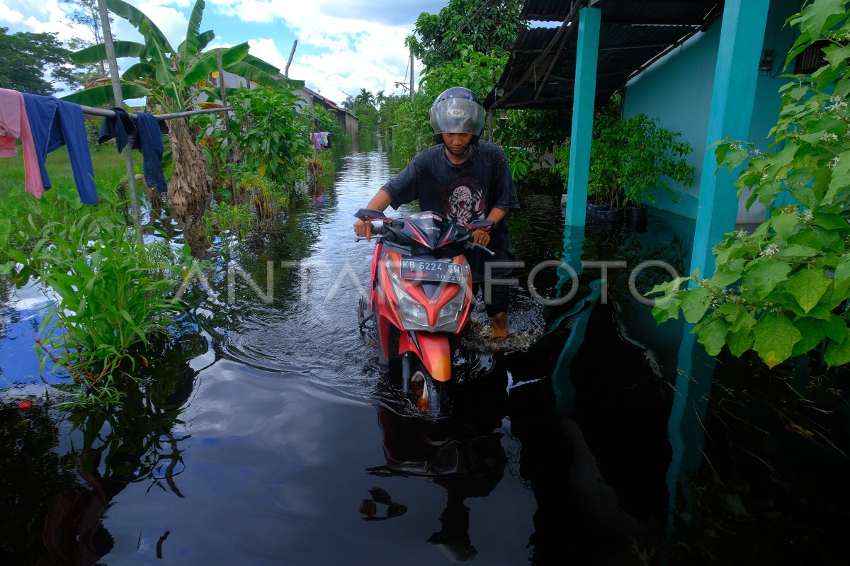 Banjir Merendam Permukiman Di Kabupaten Kubu Raya Antara Foto