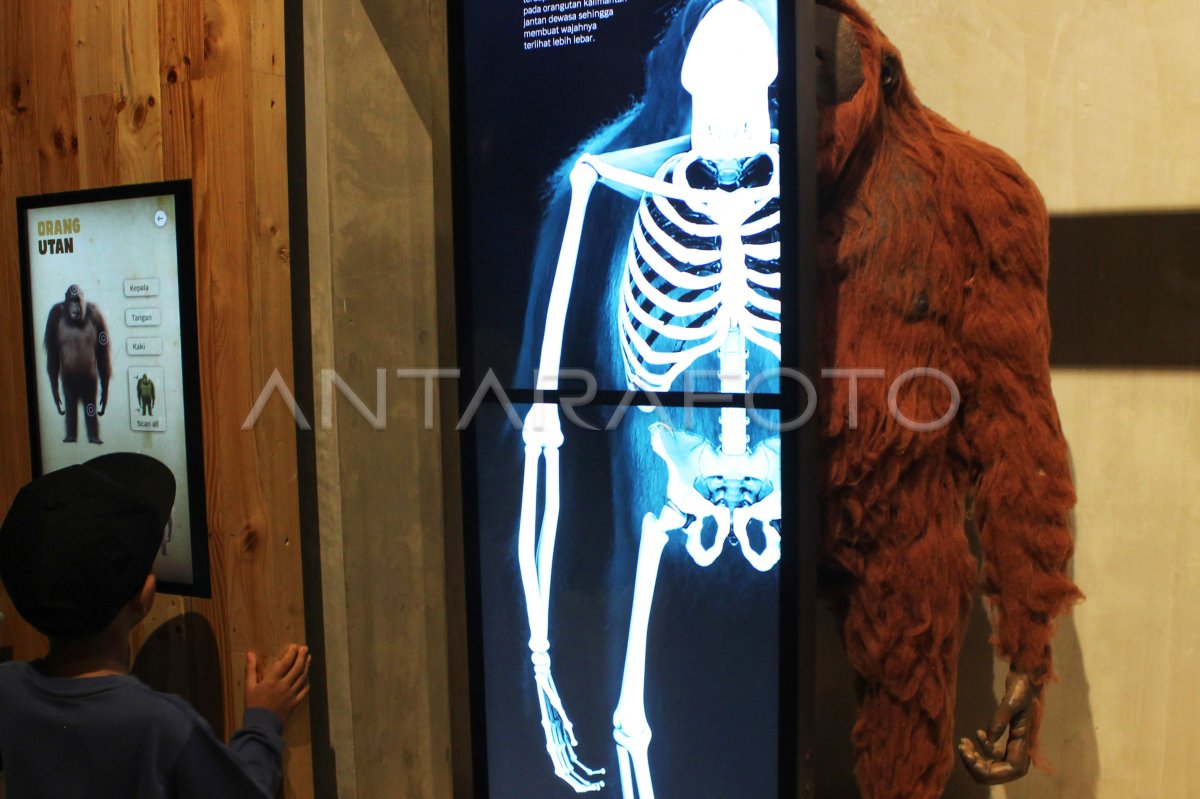 Eduwisata Animalium di BRIN Cibinong | ANTARA Foto