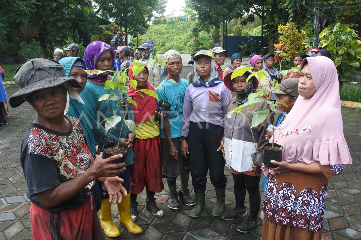 Peringatan Hari Peduli Sampah Nasional Di Jember Antara Foto