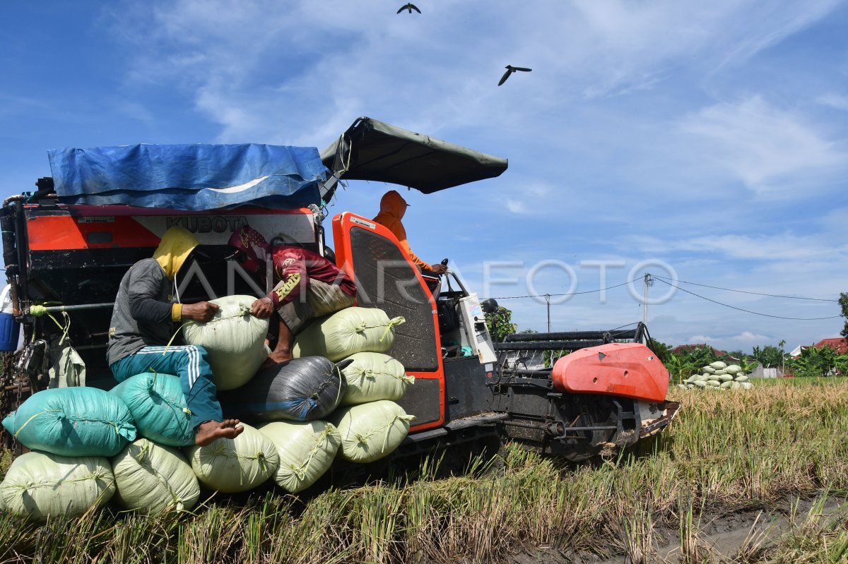 Potensi Produksi Beras Nasional Maret-April 2024 | ANTARA Foto