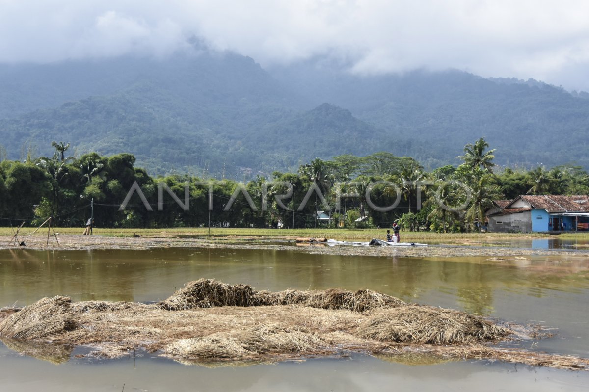 Banjir Luapan Sungai Citanduy | ANTARA Foto