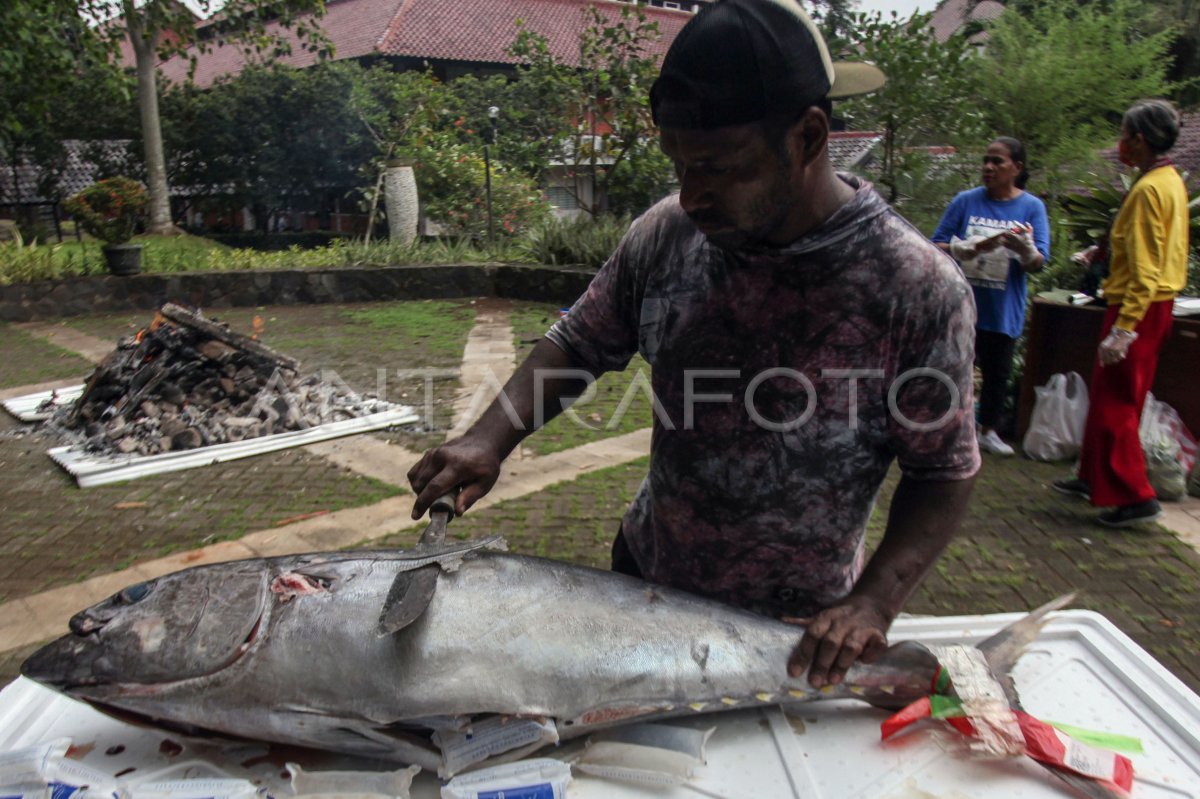 Pelestarian Budaya Adat Bakar Batu Papua Di UI | ANTARA Foto