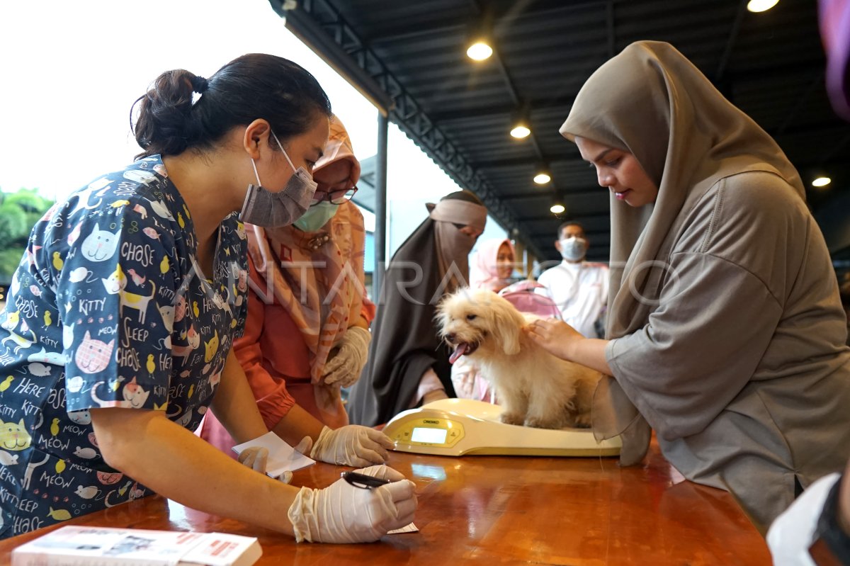 Vaksinasi hewan gratis cegah rabies di Gorontalo ANTARA Foto Vaksinasi hewan gratis cegah rabies di Gorontalo ANTARA Foto