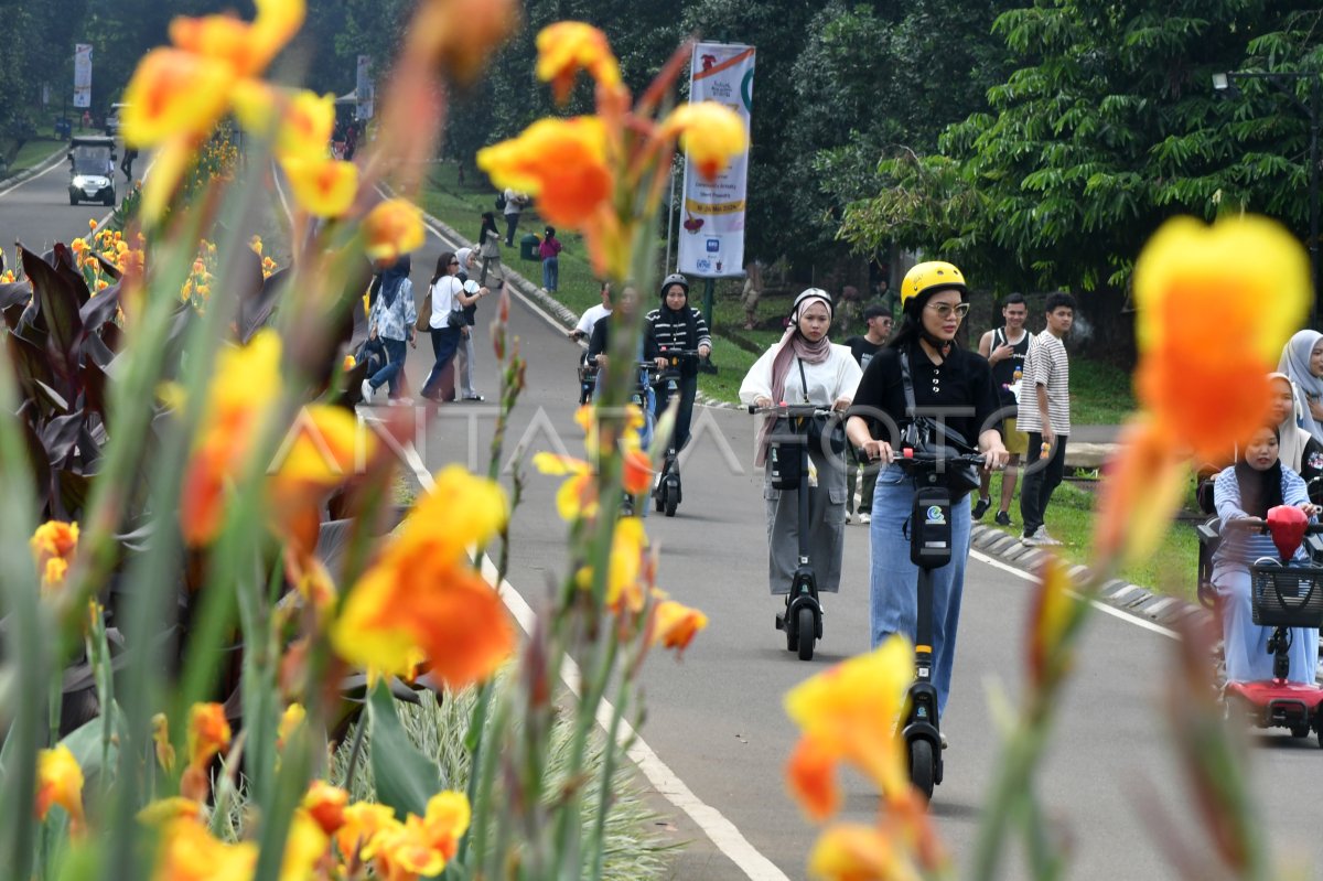 Wisata Kebun Raya Bogor | ANTARA Foto