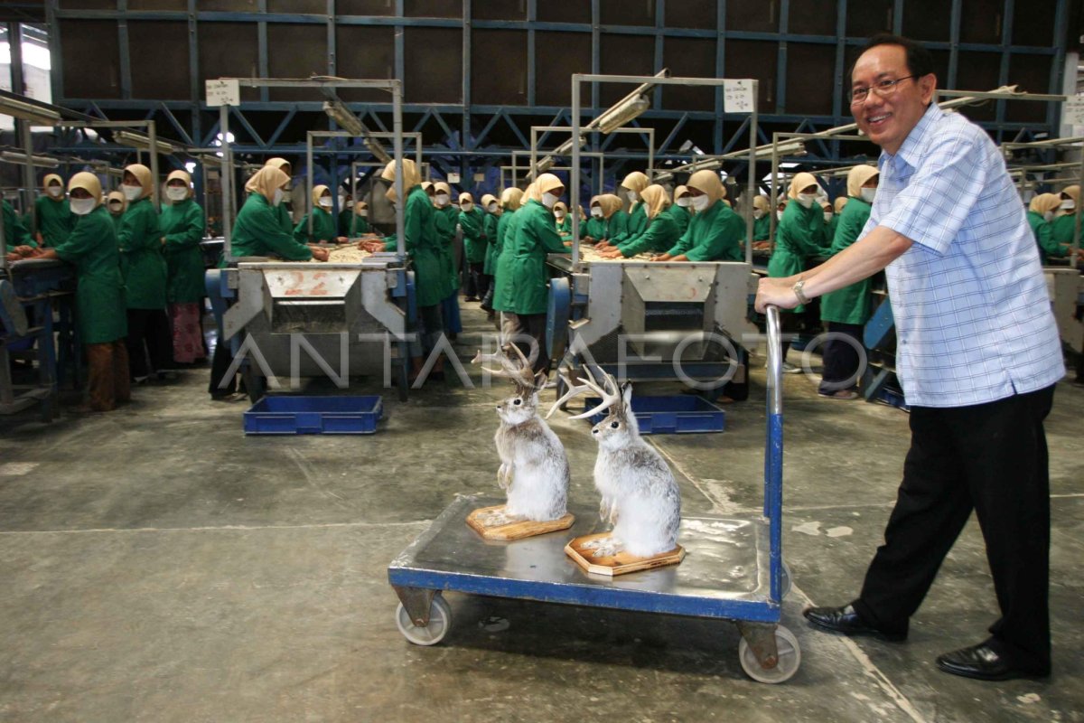 MASKOT. | ANTARA Foto