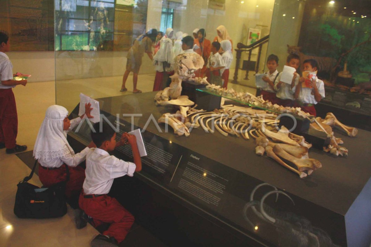 Kunjungan Museum Antara Foto