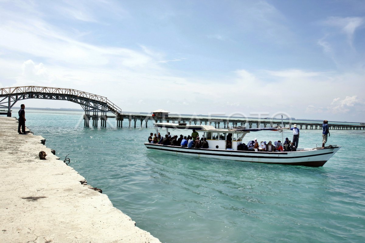 Bisnis Kambing Online Antar Pulau: Menggembalakan Rezeki di Era Digital