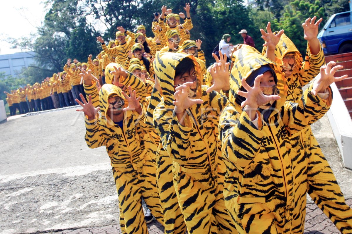 Selamatkan Harimau Sumatera Antara Foto