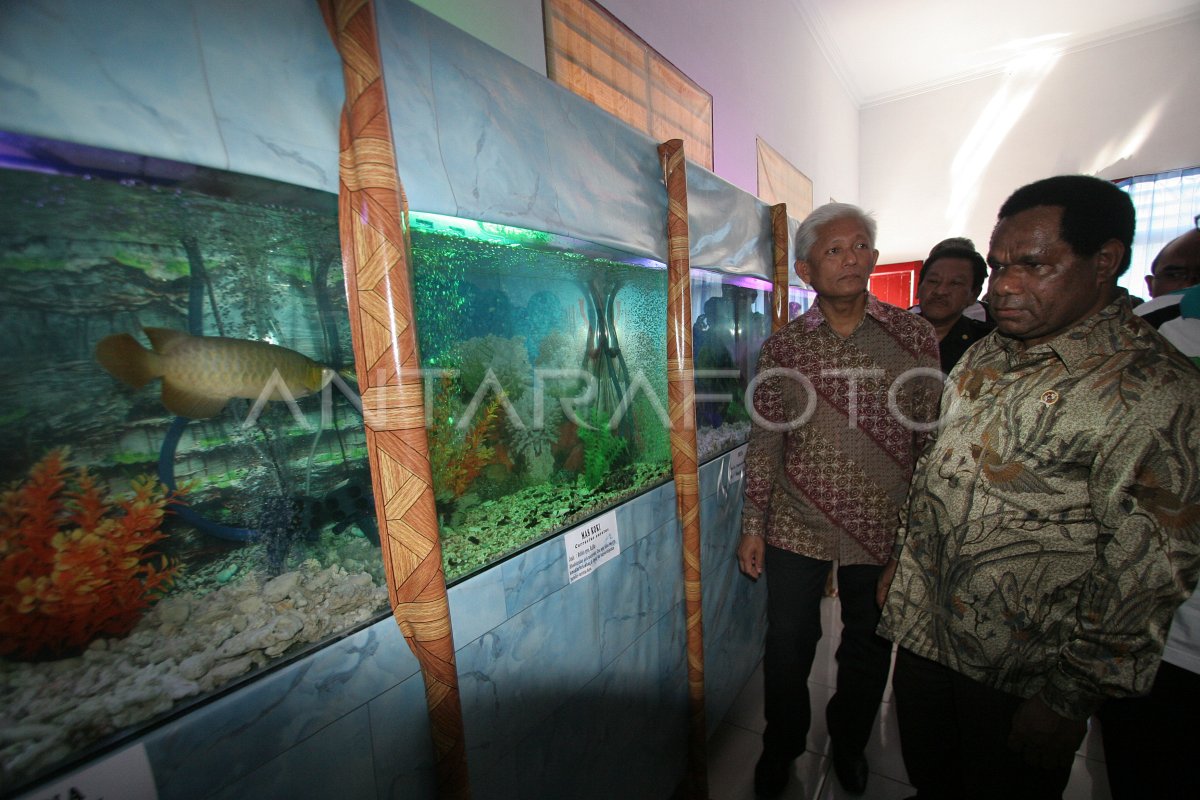 PENGEMBANGAN IKAN HIAS | ANTARA Foto
