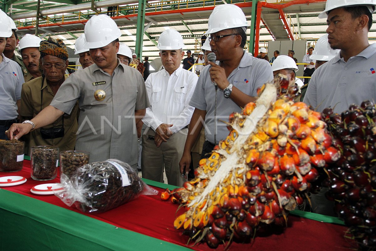 PABRIK KELAPA SAWIT DSN | ANTARA Foto