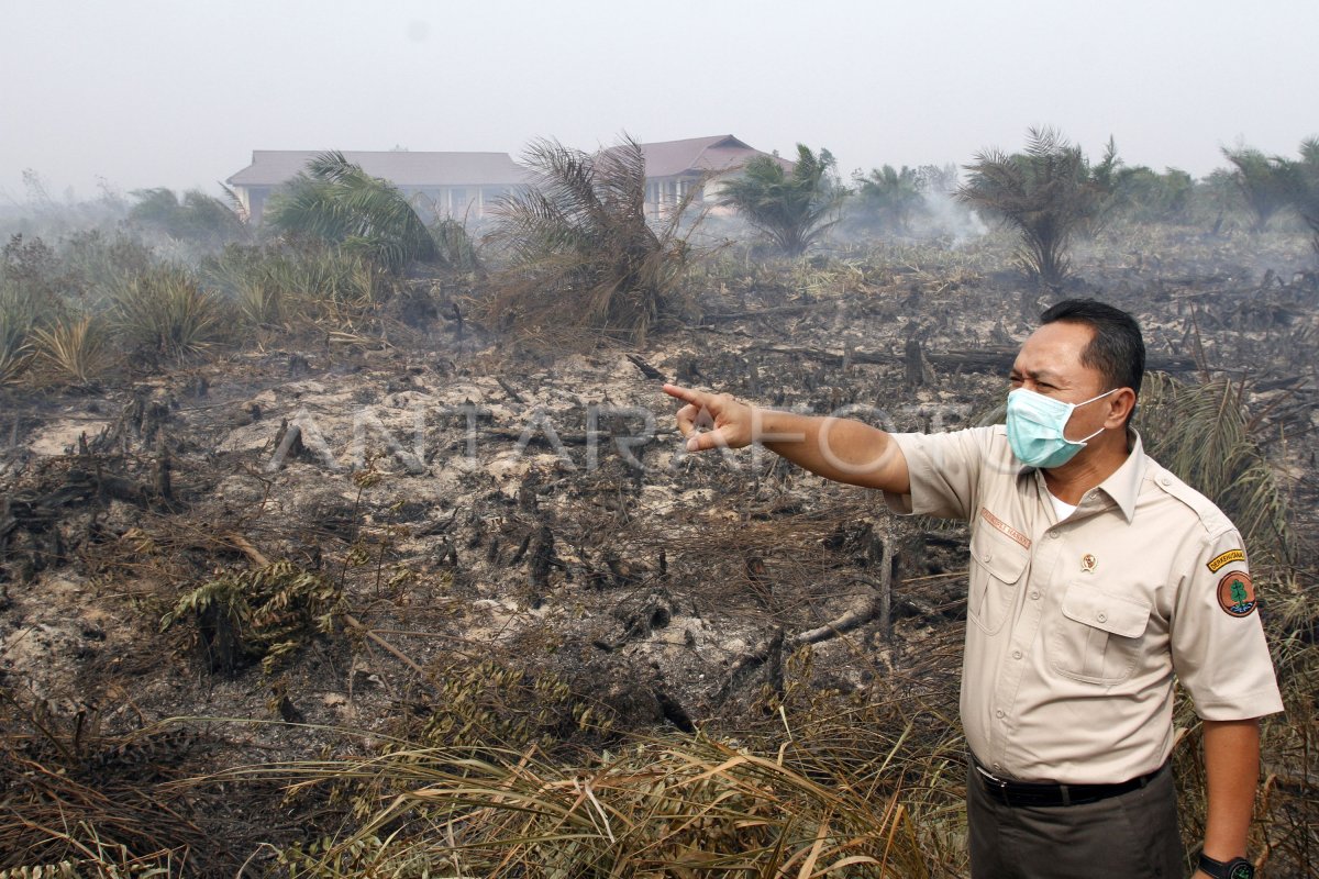 Kebakaran Hutan Riau Antara Foto