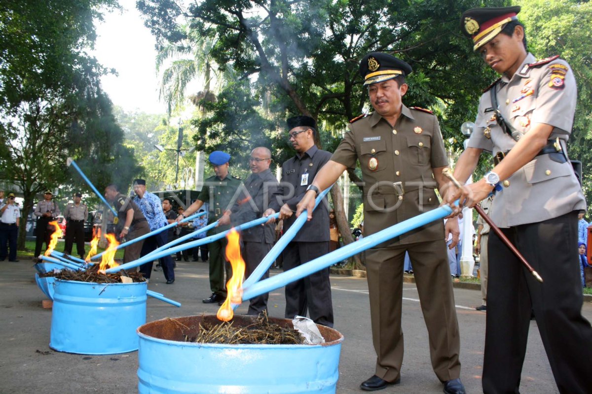 PEMUSNAHAN BARANG BUKTI NARKOBA. | ANTARA Foto