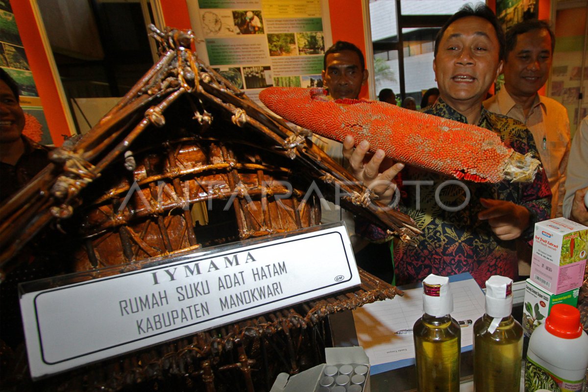 Pameran Dan Konferensi Kehutanan Antara Foto