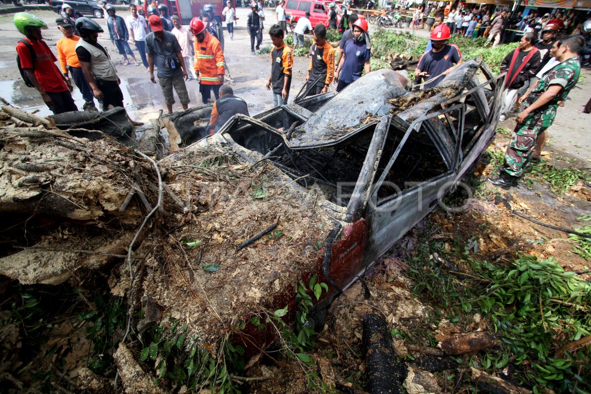 MOBIL TERTIMPA POHON ANTARA Foto