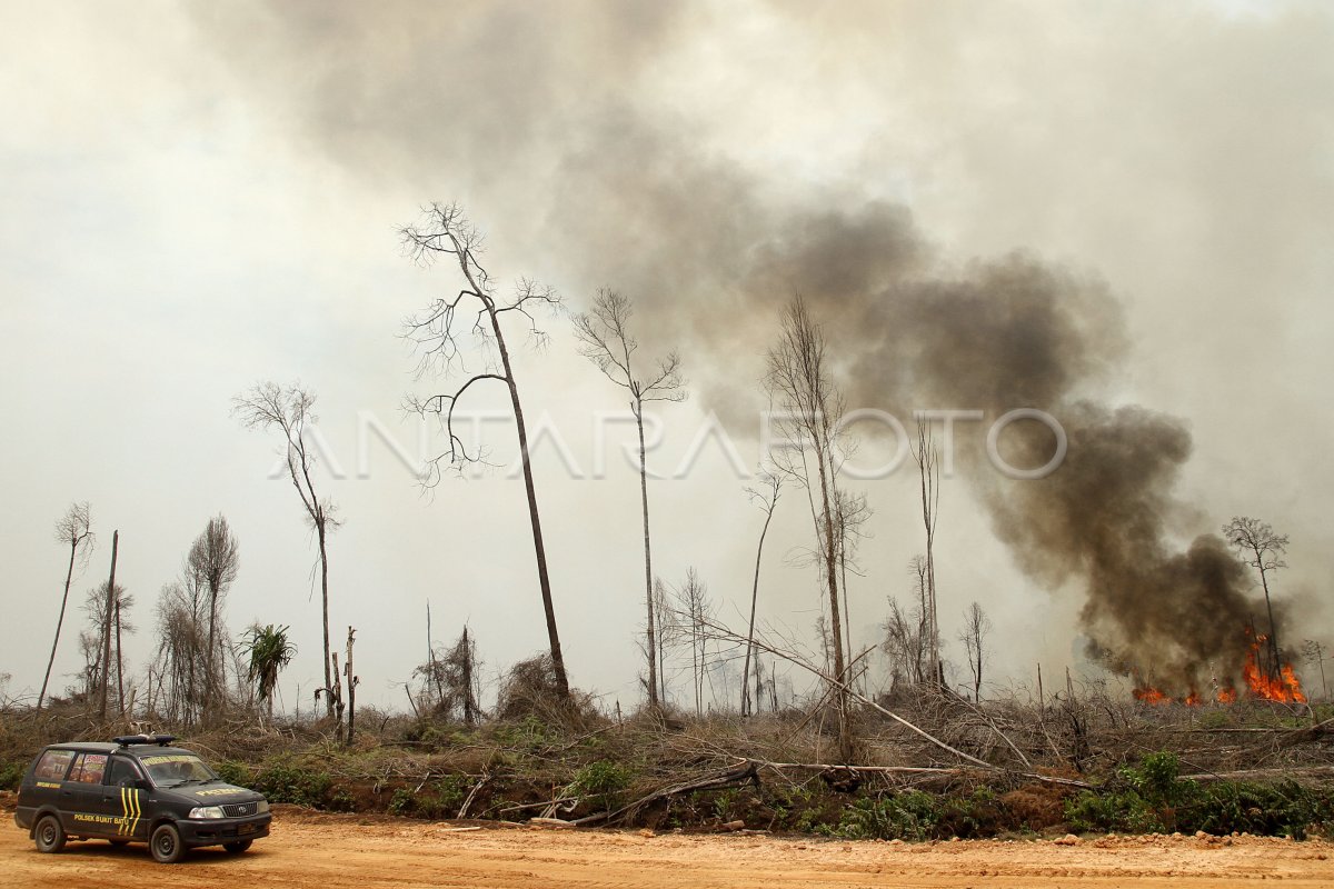 Kebakaran Hutan Dan Lahan Riau Antara Foto