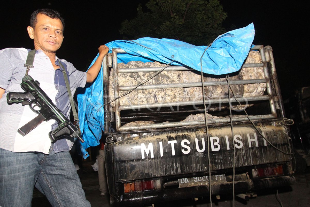 Penyelundupan Kayu Dan Karet Ilegal Antara Foto