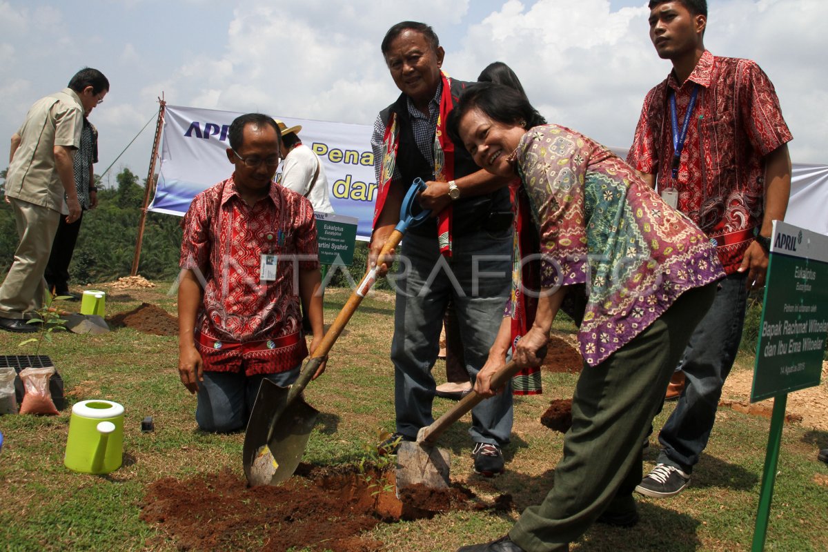 Restorasi Ekosistem Desa: Solusi untuk Lingkungan yang Berkelanjutan