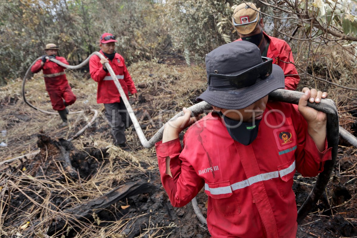 Kebakaran Lahan Perkebunan Sawit Antara Foto 6408