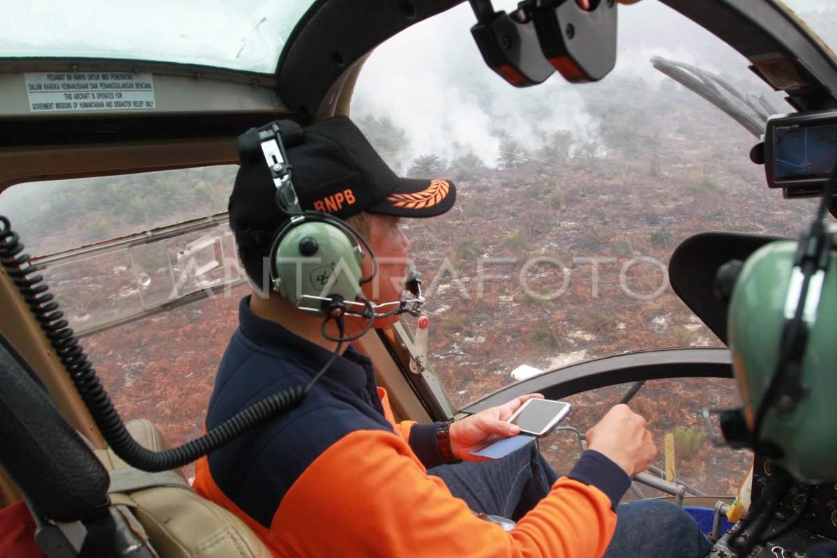 PEMBAKARAN LAHAN KALBAR | ANTARA Foto