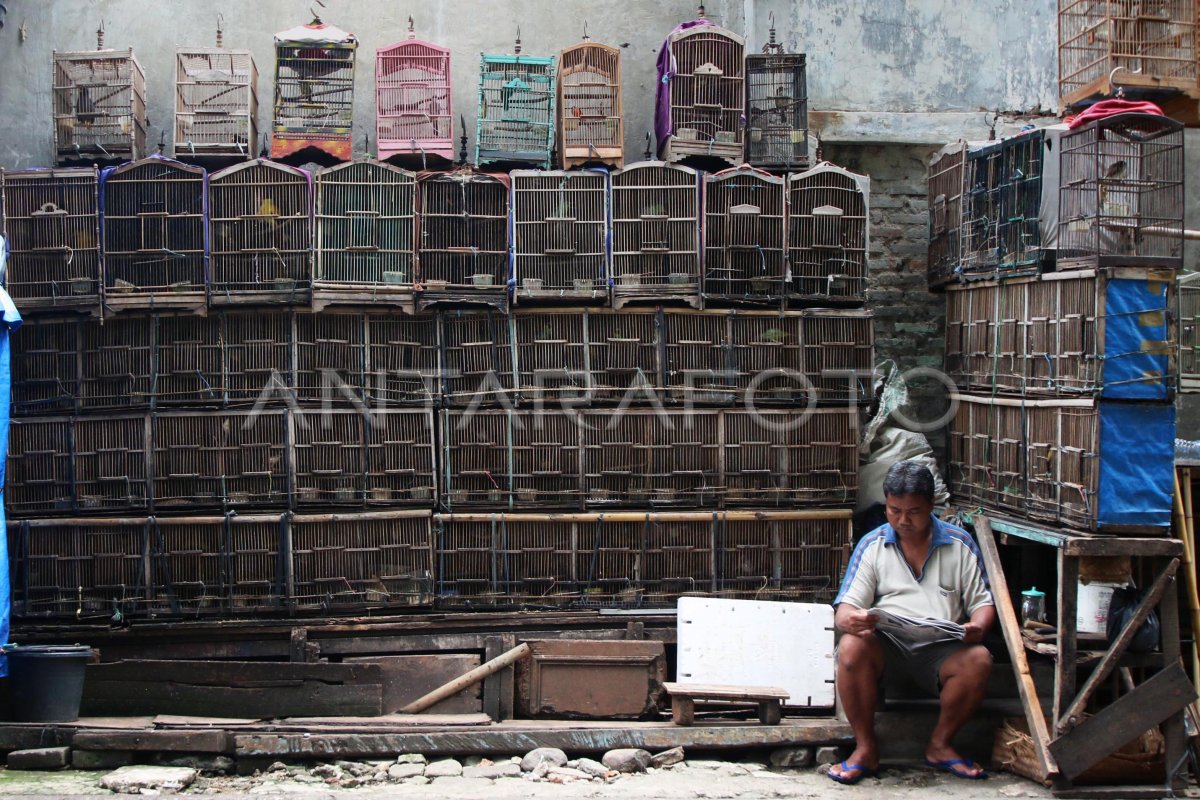 RELOKASI PASAR BURUNG PRAMUKA | ANTARA Foto