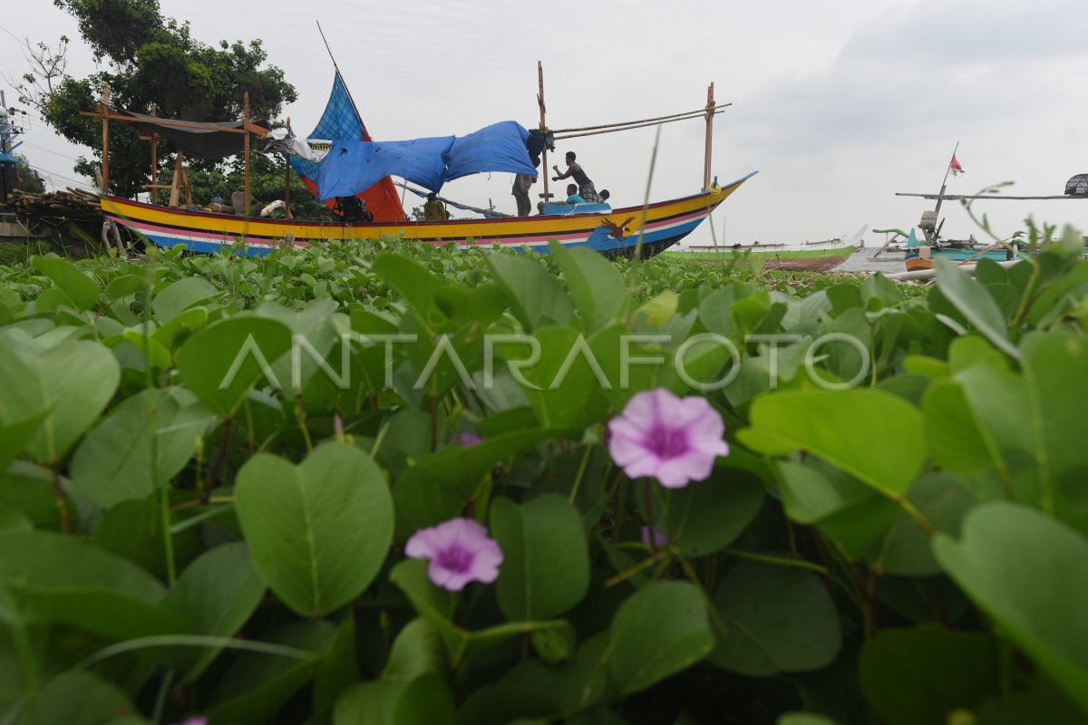 NELAYAN TRADISIONAL