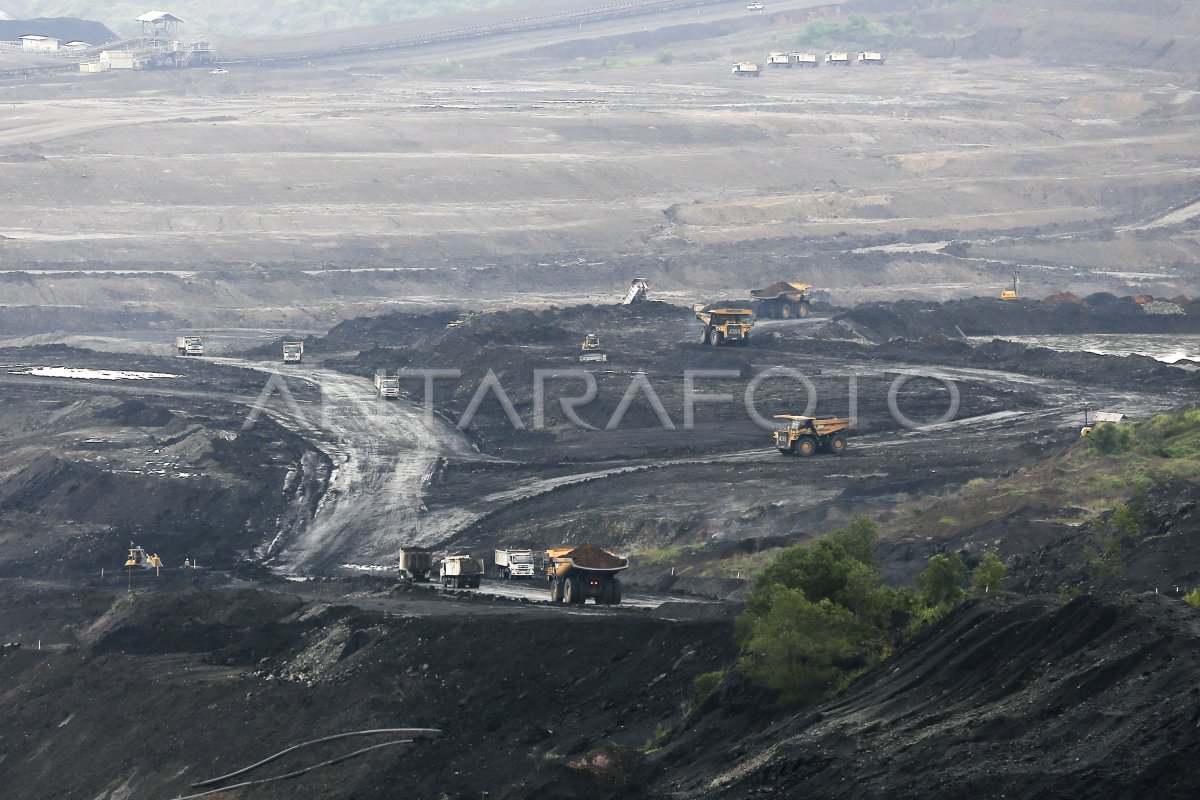 Target Produksi Batu Bara Ptba Antara Foto