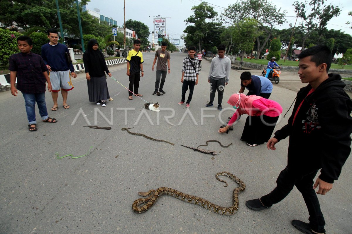 HARI BEBAS KENDERAAN BERMOTOR | ANTARA Foto