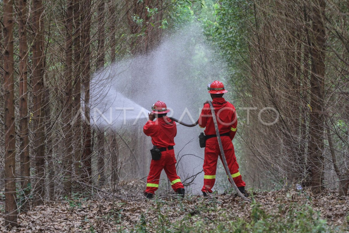 SIMULASI PENANGANAN KEBAKARAN HUTAN | ANTARA Foto